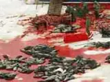325.000 focas serán asesinadas en esta cacería. (Reuters)