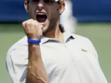 Andy Roddick celebra un punto ante Juan Carlos Ferrero en el Masters Series de Cincinatti.