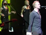 Sting durante un concierto (© Korpa).