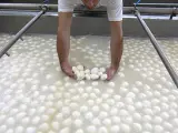 Un trabajador prepara varios quesos de mozzarela en una fábrica de Italia. (Salvatore Laporta/AP Photo)