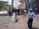 Uno de los trabajadores durante la Muestra Internacional.