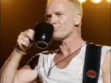 Sting, durante un concierto el año pasado (Foto: KORPA.