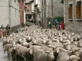 Un rebaño de ovejas a su paso por un municipio.