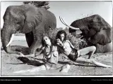 Malgosia y Maria-Carla se bañan con unos elefantes africanos en una de las imágenes del fotógrafo Peter Beard, encargado del calendario este año.