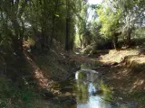 Río Izana a su paso por Matamala de Almazán. (ICAL)