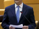 Miguel Sebastián, durante su intervención en el pleno que se celebró el martes en el Senado. (EFE)