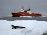 En la imagen, el buque Hespérides, de la Armada Española, navega entre hielos en la Antártida. (EFE)
