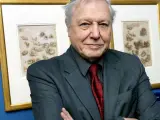 El británico David Attenborough, premio Príncipe de Asturias de las Ciencias Sociales 2009.