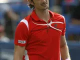 Juan Carlos Ferrero se lamenta en el partido ante Tommy Haas en el torneo de Washington.