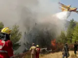 Un avión de extinción de incendios sobrevuela Dioni, a 12 kilómetros al norte de Atenas (Grecia),.