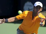 Fernando Verdasco, durante el US Open.