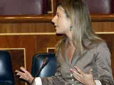 Bibiana Aído, en el Congreso.