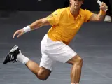 El tenista madrileño Fernando Verdasco, golpea la bola en el Open 500 de Tenis disputado en Valencia.