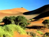 Desierto de Namib.