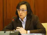 Rosa Aguilar, en comparecencia parlamentaria