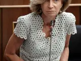 La vicepresidenta segunda del Gobierno y ministra de Economía y Hacienda, Elena Salgado, en el pleno del Congreso.