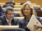 La vicepresidenta segunda del Gobierno y ministra de Economía, Elena Salgado, ocupando su asiento durante la sesión de control en el Senado.