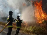 Incendio forestal