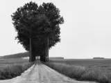 Una de las fotos de la exposición Henri Cartier-Bresson. The Geometry of the Moment Landscapes
