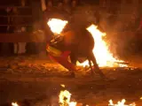 Imagen del 'Toro de fuego' de Medinaceli, donde un Toro tiene que soportar cómo le prenden fuego a sus cuernos mientras sufre todo tipo de vejaciones.
