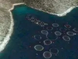 Piscifactorías en la costa griega, vistas a través de Google Earth.