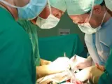 Un equipo médico realiza un trasplante a un paciente.