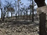 Tareas de extinción de incendios forestales en varios municipios de Girona.