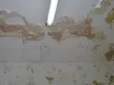 Manchas de humedad en el techo de una vivienda.
