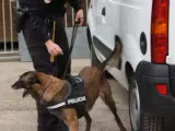 Uno de los perros de la Policía Nacional que ha efectuado registros en el marco de la 'Operación Emperador'.