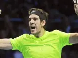 El tenista argentino, Del Potro, celebra la victoria ante Federer en la Copa de Maestros.