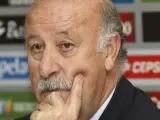 El seleccionador nacional de fútbol, Vicente del Bosque, durante una rueda de prensa.