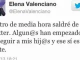 Elena Valenciano deja Twitter por la "persecución" que sufren sus hijos.