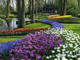 Fotograf&iacute;a cortes&iacute;a del Keukenhof, el mayor jard&iacute;n floral de Holanda, que abri&oacute; sus puertas con expectativas de mantener su afluencia de visitantes anuales, convirti&eacute;ndose en un evento que con el colorido de sus flores sobrevive a los efectos de la crisis econ&oacute;mica internacional.