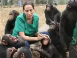 Rebeca Atencia cuidando de los chimpancés en la República del Congo. El Instituto Jane Goodall no interfiere en la vida de los chimpancés salvajes, los que aparecen en la foto habitan en el centro de rehabilitación de Tchimpounga.