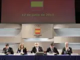 Un instante de la Asamblea General Ordinaria del Comité Olímpico Español en la que se aprobaron las cuentas correspondientes al año 2013.
