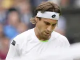 David Ferrer, cabizbajo en el partido en Wimbledon ante Del Potro.