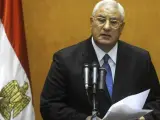 El nuevo presidente interino de Egipto, Adli Mansur.