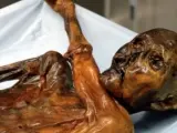 Ötzi, el 'hombre de los hielos', una momia de 5.300 años de antigüedad hallada en los Alpes en 1991.
