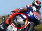 Gaviota enganchada a la moto de Jorge Lorenzo en la calificación de Australia.