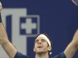 Juan Martín del Potro celebra su victoria sobre Roger Federer en la final del Abierto de Basilea de tenis 2013.