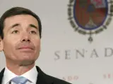 El secretario general del PSM, Tomás Gómez, durante una comparecencia en el Senado.