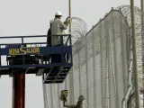 Trabajadores colocando nuevos alambres en la valla que separa Melilla y Marruecos.