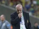 El seleccionador español Vicente del Bosque, durante la final de la Copa Confederaciones 2013 ante Brasil.