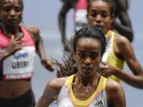 La atleta de Etiopía, Genzebe Dibaba, gana la competencia de los 3000 metros en la categoría femenina rompiendo el récord mundial en el estadio Stockholm Globe Arena en Estocolmo (Suecia).