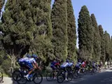 El pelotón de ciclistas avanza durante la segunda etapa de la Tirreno-Adriático de Ciclismo, disputada entre San Vincenzo y Cascina.