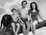 Johnny Weismuller acompañado de Maureen O'Sullivan, el joven Johnny Sheffield y la mona "Chita" en 'Tarzán en Nueva York' (1942).
