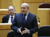 El ministro ministro de Educación, Cultura y Deporte, José Ignacio Wert, durante su intervención en una sesión de control al Gobierno celebrada en el Senado.