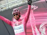 Michael Matthews con el maillot rosa del Giro.