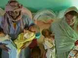 Massaya y Taghri, posando con sus cuatro recién nacidos