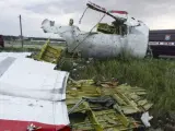 Fotografía de los restos de un avión Boeing 777, vuelo MH17 de Malaysia Airlines, que cayó a tierra al este de Ucrania.